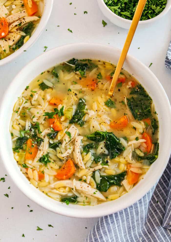 lemon-orzo-soup-3-700x993.jpg