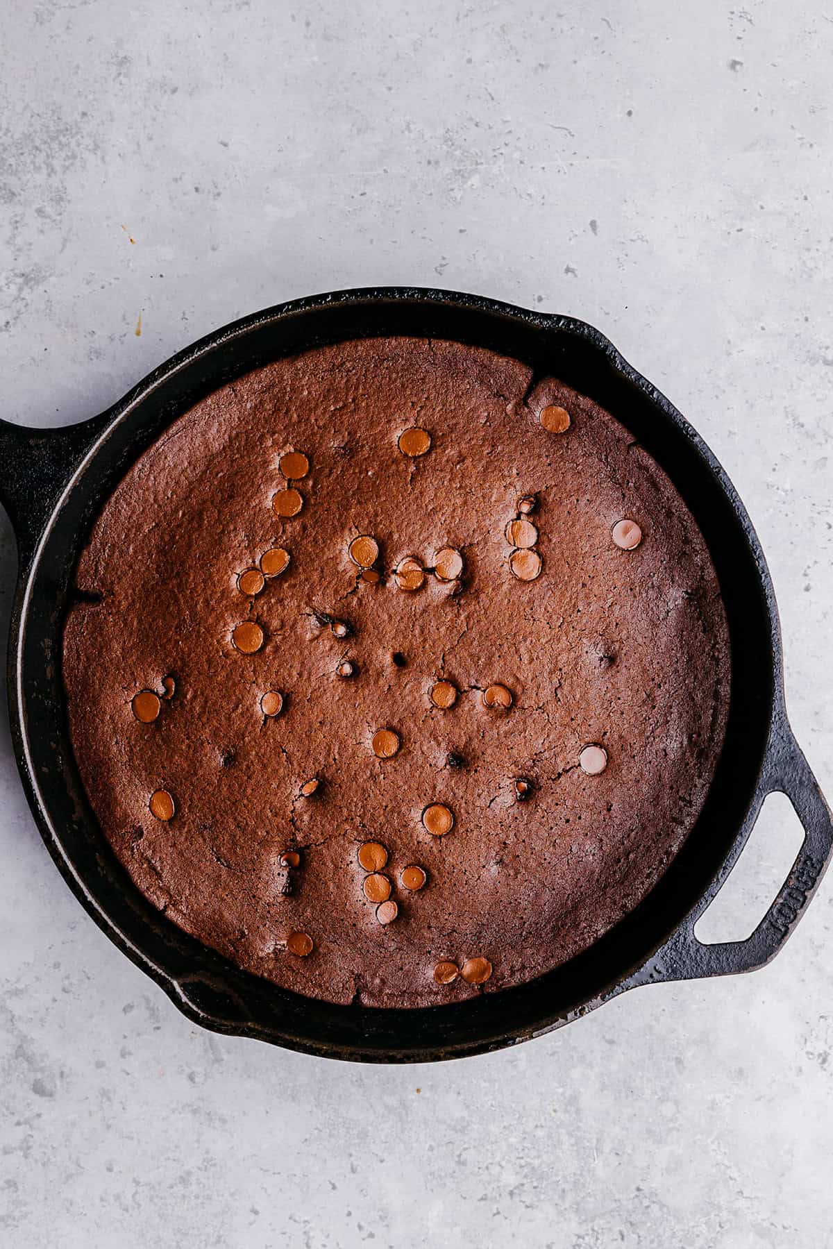 The absolute BEST Flourless Chocolate Chip Brownies that are fudgy, moist and delicious!  Made healthier with zero refined sugar, protein-packed black beans, and Greek yogurt!