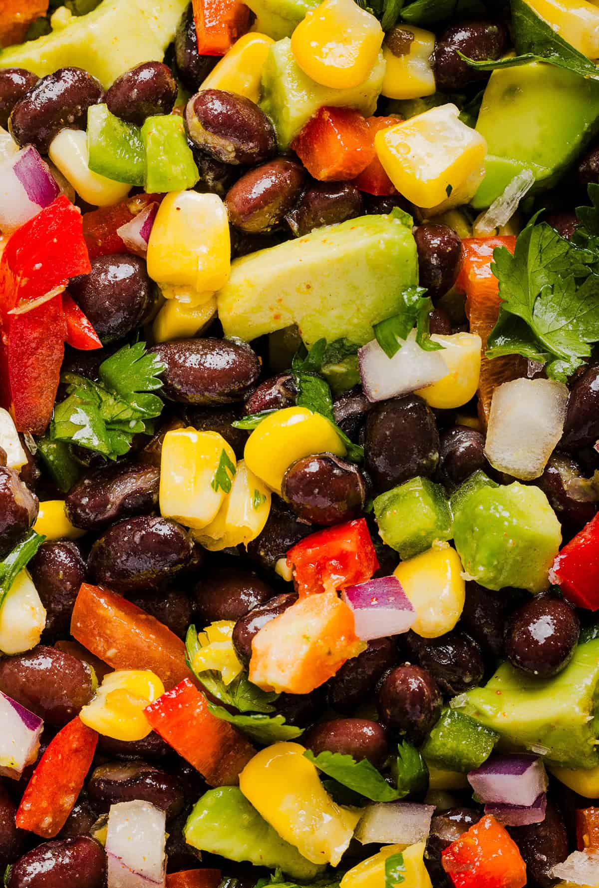 This Black Bean and Corn Salad is loaded with crisp veggies, delicious spices and fresh cilantro, all tossed together in a zesty lime dressing making it the perfect summer side dish or dip!