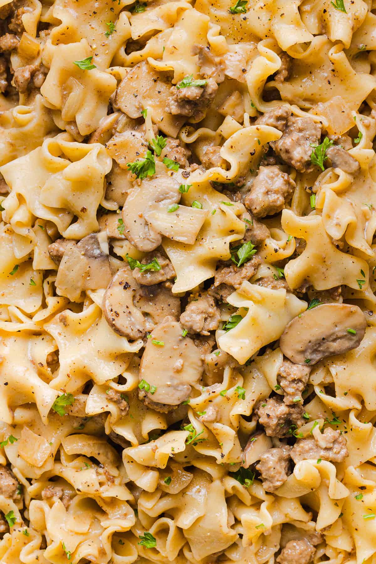 This Healthy Ground Beef Stroganoff Casserole is the ultimate family-friendly comfort food! The perfect cozy weeknight meal made with egg noodles and smothered in the most delicious creamy mushroom sauce in just 30 minutes!