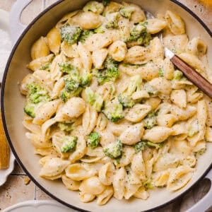 One pot creamy broccoli cheddar pasta with tender pasta shells and chopped broccoli in a cheesy sauce.